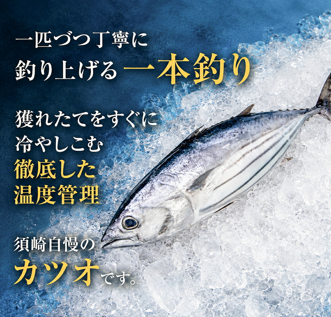 カツオづくしセット カツオ 漬け丼 タタキ たたき 名物 藁焼き 一本釣り ポン酢付き 刺身 海鮮 魚 冷凍 食べ比べ 詰め合わせ お取り寄せ 高知県 須崎産 国産 ご当地 真空パック グルメ 海鮮丼