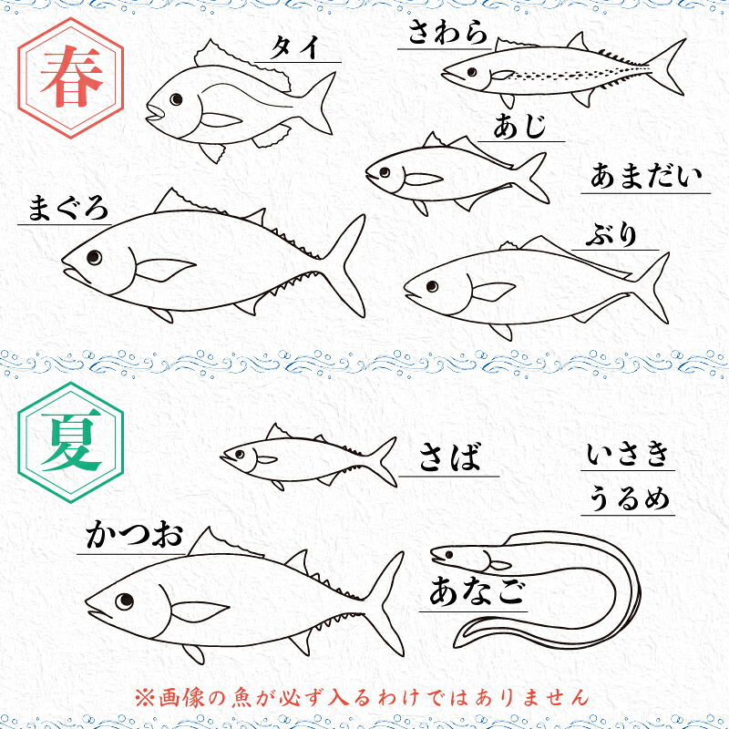 朝どれ地魚 3~4種類 お刺身 セット 生すり身付き 刺身 さしみ 刺し身 刺身セット 刺身 正月 刺身丼 海鮮丼セット 海鮮丼の具 盛り合わせセット 小分け マグロ かつおのたたき 鯛