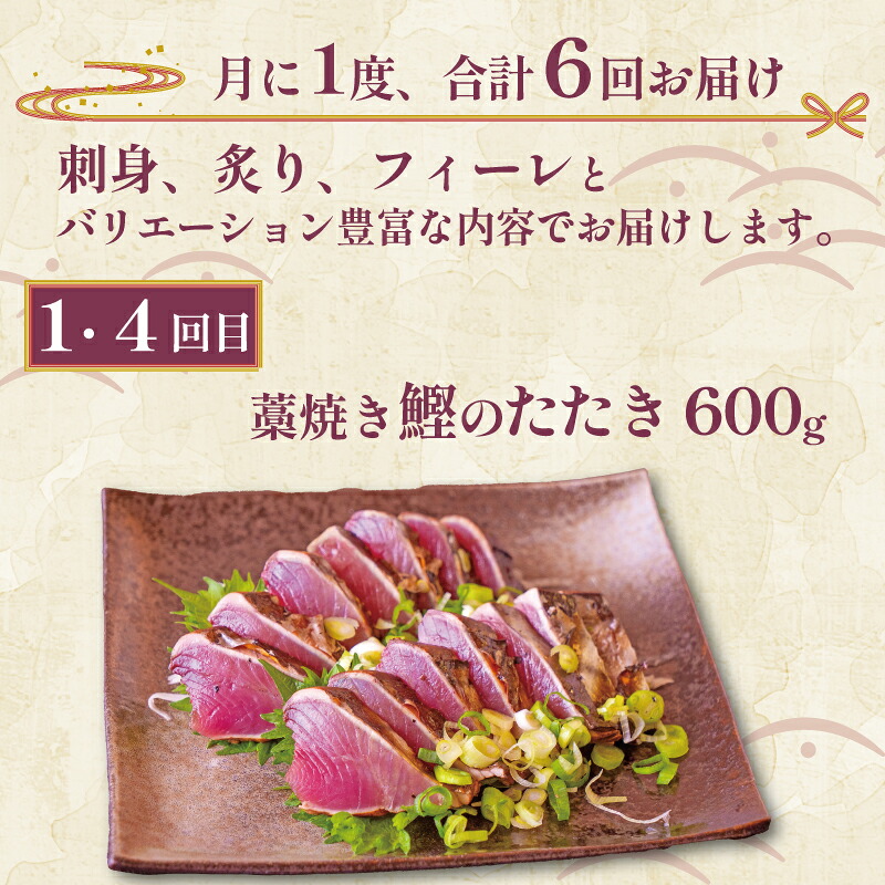 お刺身 定期便 6回 カツオ 鰹 フィーレ 炙り 刺身 刺し身 丼 寿司 海鮮 魚介 鮮魚 旬 ご飯に合う 米に合う コメに合う 冷蔵 高知県 須崎市 須崎魚商人組合 GK1000