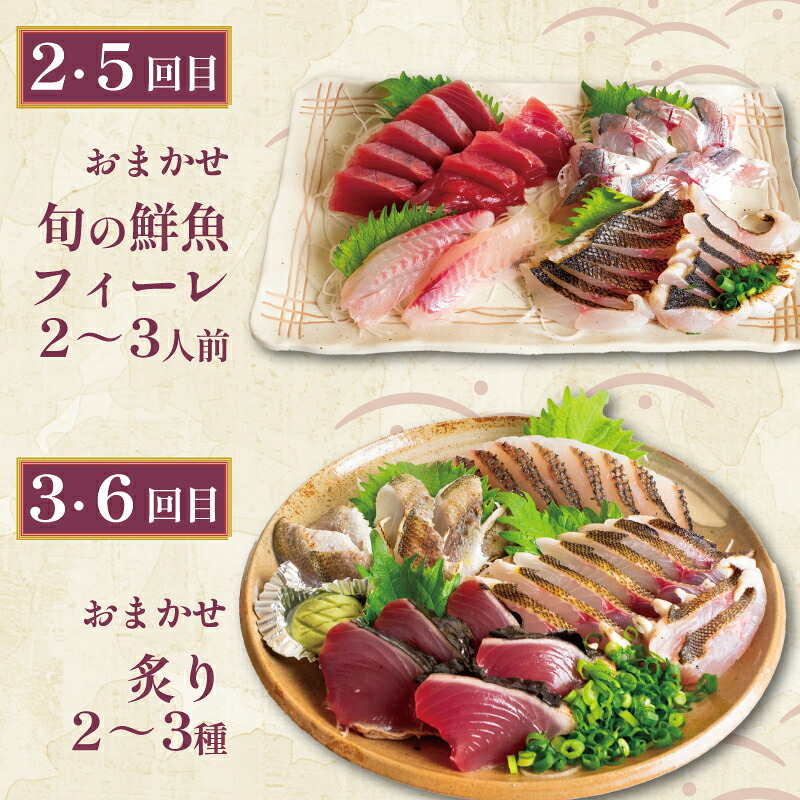 お刺身 定期便 6回 カツオ 鰹 フィーレ 炙り 刺身 刺し身 丼 寿司 海鮮 魚介 鮮魚 旬 ご飯に合う 米に合う コメに合う 冷蔵 高知県 須崎市 須崎魚商人組合 GK1000