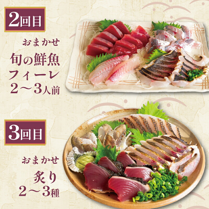 お刺身 定期便 3回 カツオ 鰹 フィーレ 炙り 刺身 刺し身 丼 寿司 海鮮 魚介 鮮魚 旬 ご飯に合う 米に合う コメに合う 冷蔵 高知県 須崎市 須崎魚商人組合 GK2000