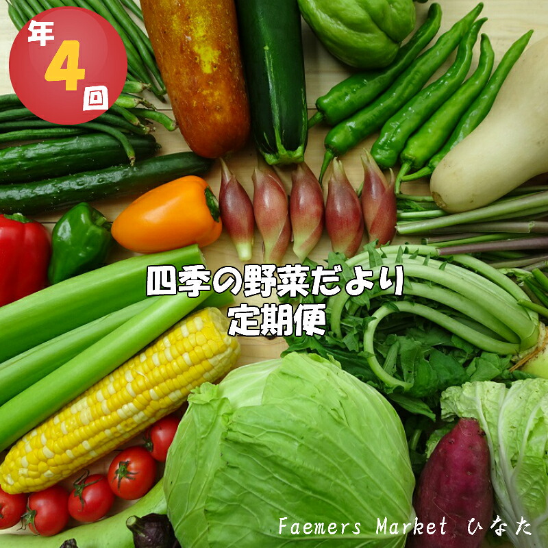 定期便 4回 野菜 おまかせ セット 10 14種