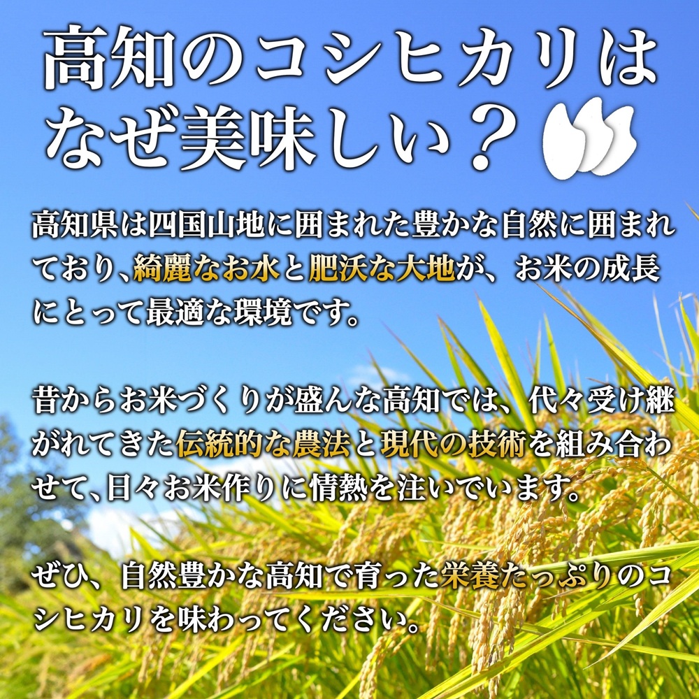 【令和8年産 新米早期予約】 コシヒカリ 3kg 5kg 10kg から 選べる内容量 定期便 野獣の情熱 8月下旬より発送 国産 高知県産 白米 精米 ごはん お米 産地直送 井上農園 ビースト農園