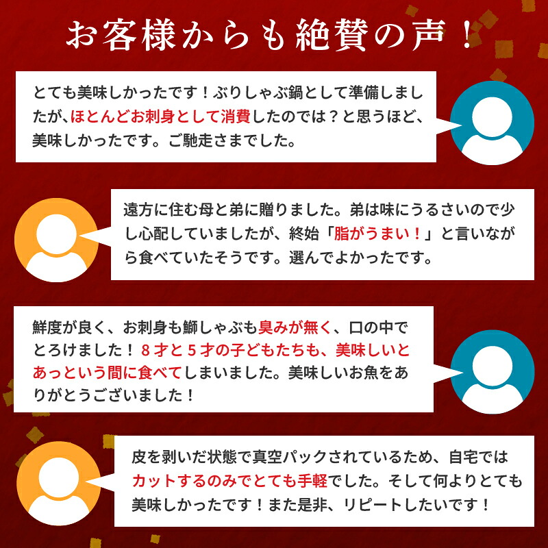 厳選! 産地直送 ブリ 半年 定期便 【 下処理 有 】 鰤 刺身 冷蔵 6回 6ヵ月 6ヶ月 ブランド 乙女ブリ 刺し身 鰤しゃぶ ぶりしゃぶ 海鮮 鮮魚 魚介 サカナ さかな 魚 高知県 須崎市
