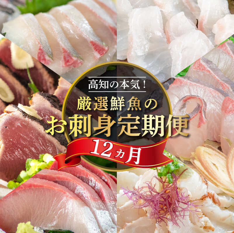 厳選! 12カ月 お楽しみ定期便 刺身 定期便 小島水産 がお届けする! 美味しい お刺身 1年 一年 全12回 12か月 12カ月 コース 冷蔵 冷凍 鮮魚 海鮮 下処理済 産地直送 新鮮 鰤 ブリ