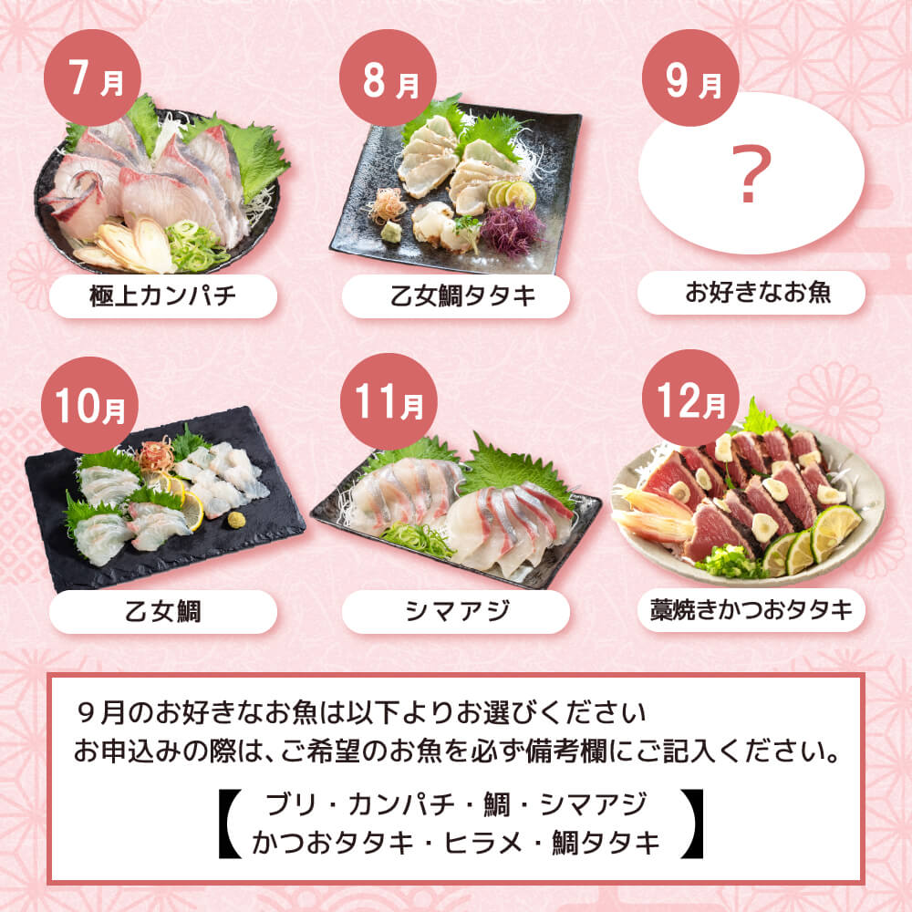 厳選! 12カ月 お楽しみ定期便 刺身 定期便 小島水産 がお届けする! 美味しい お刺身 1年 一年 全12回 12か月 12カ月 コース 冷蔵 冷凍 鮮魚 海鮮 下処理済 産地直送 新鮮 鰤 ブリ