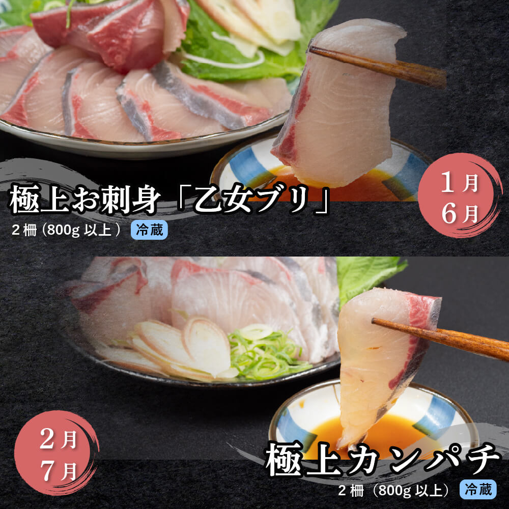 厳選! 12カ月 お楽しみ定期便 刺身 定期便 小島水産 がお届けする! 美味しい お刺身 1年 一年 全12回 12か月 12カ月 コース 冷蔵 冷凍 鮮魚 海鮮 下処理済 産地直送 新鮮 鰤 ブリ