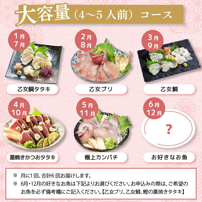 刺身 定期便 6ヶ月 小島水産 がお届けする！ 美味しい お刺身 大容量 コース ( 鮮魚 下処理済 )  産地直送 半年 新鮮 鮮魚 ( 6回 お楽しみ 定期便 お刺身 かつお タタキ カツオ 鰹