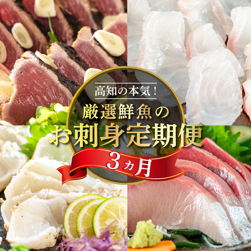 厳選 3ヶ月 お楽しみ定期便 刺身 定期便 小島水産