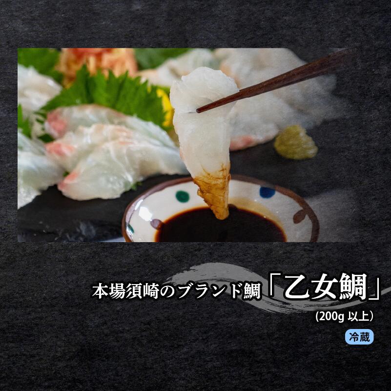 厳選! 3カ月 お楽しみ定期便 刺身 定期便 小島水産 がお届けする! 美味しい お刺身 全3回 3か月 3カ月 小容量 コース 冷蔵 冷凍 鮮魚 海鮮 下処理済 産地直送 新鮮 鰤 ブリ 鯛 真鯛