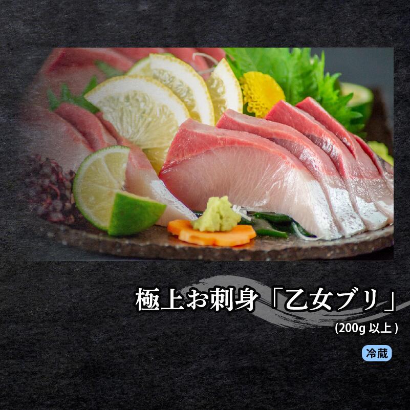 厳選! 3カ月 お楽しみ定期便 刺身 定期便 小島水産 がお届けする! 美味しい お刺身 全3回 3か月 3カ月 小容量 コース 冷蔵 冷凍 鮮魚 海鮮 下処理済 産地直送 新鮮 鰤 ブリ 鯛 真鯛