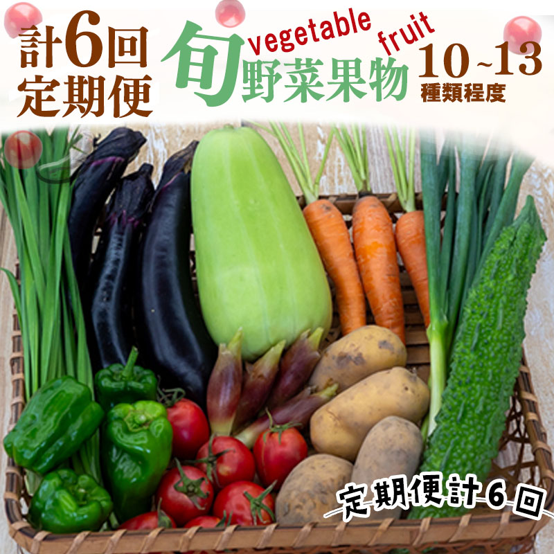 定期便 野菜 6回 野菜定期便 果物 セット 10