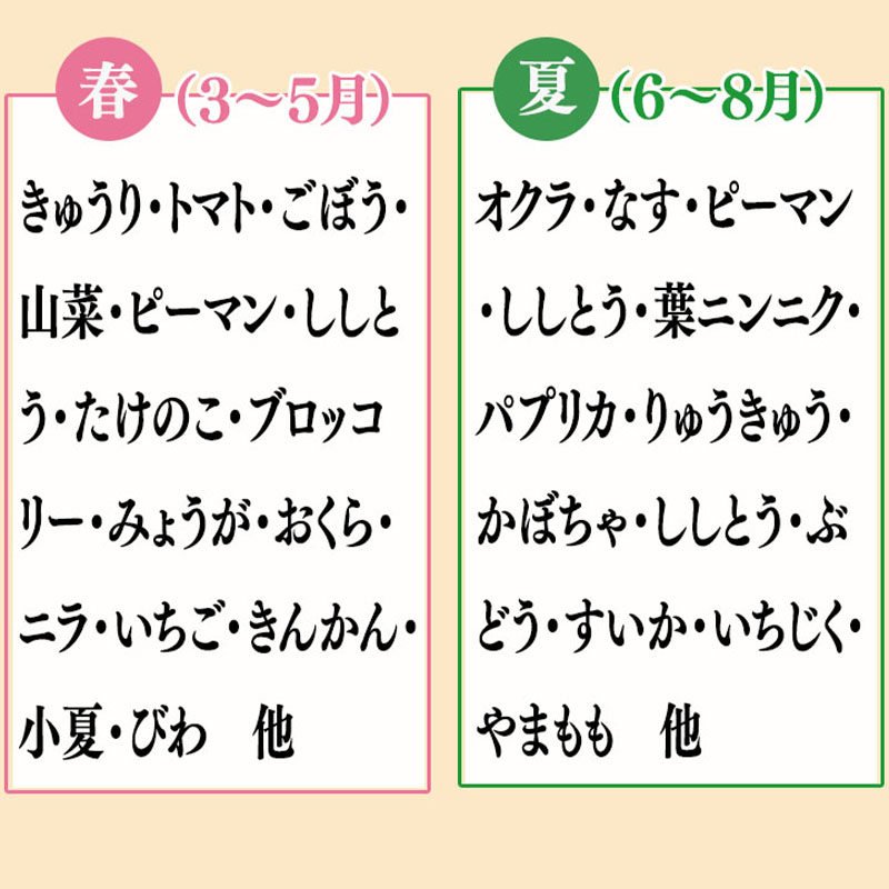 定期便 野菜 6回 野菜定期便 果物 セット 10 ～ 13 種類 | 定期便 フルーツ やさい くだもの フルーツ定期便  セット 旬 春 夏 秋 冬 野菜詰め合わせ 野菜セット 旬 定番野菜 新鮮