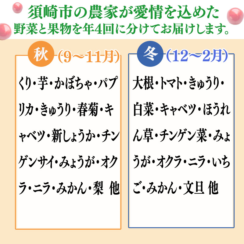 定期便 野菜 4回 野菜定期便 果物 セット 10 ~ 13 種類 | 定期便 フルーツ やさい くだもの フルーツ定期便 セット 旬 春 夏 秋 冬 野菜詰め合わせ 野菜セット 旬 定番野菜 新鮮