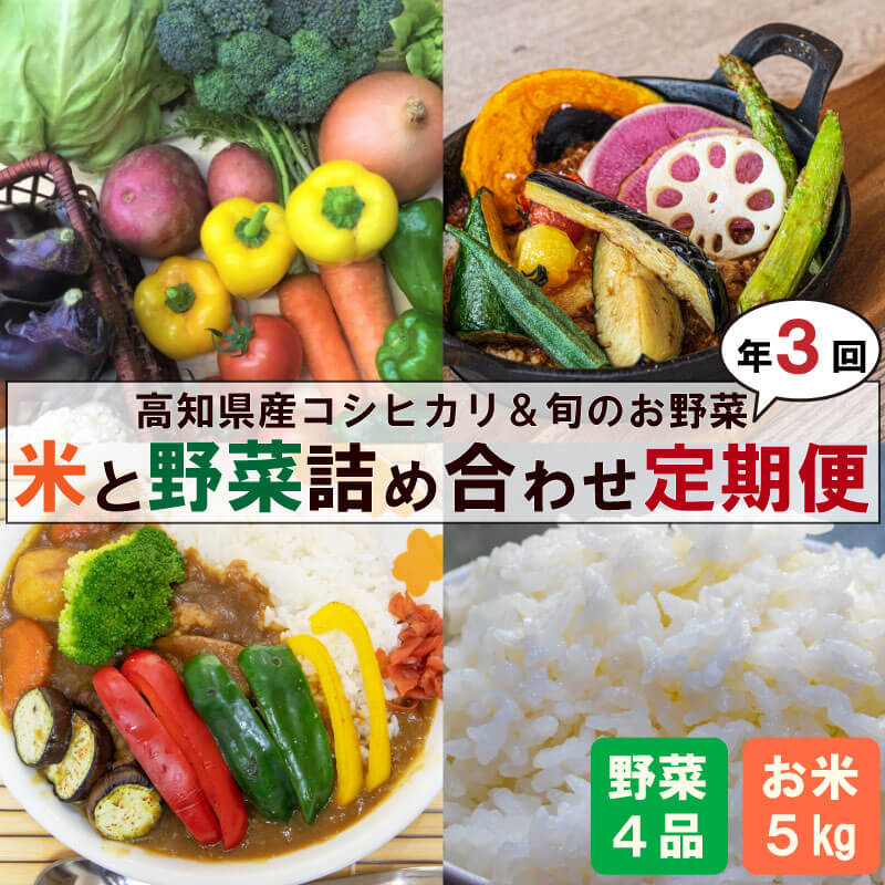 米 コシヒカリ 野菜 3回 定期便 5kg