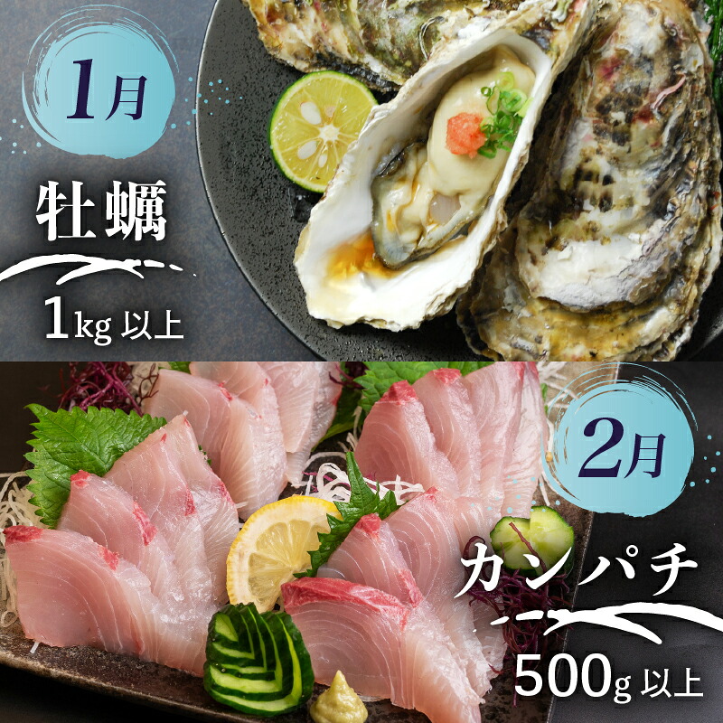 【須崎 の 鮮魚 定期便 】旬 の 刺身 定期便 6回 コース 野島水産 が お届け！ | 下処理済み かつお かつおのたたき 藁焼き タタキ 鯛 真鯛 マグロ 牡蠣 しらす 伊勢海老 セット 高知