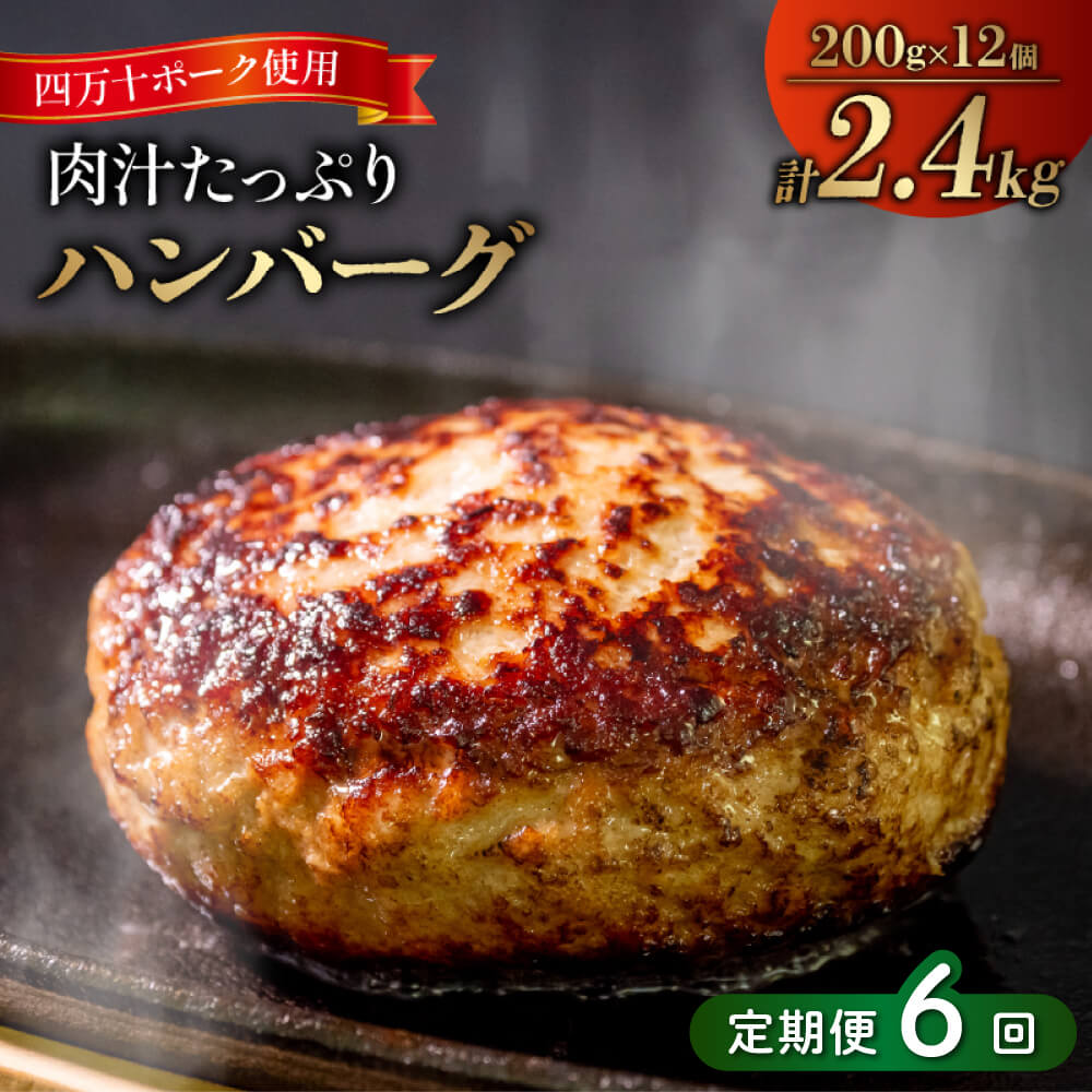6ヶ月定期便 四万十ポーク入りハンバーグ 2.4kg(200g×12個) 冷凍 真空 小分け 個包装 肉汁たっぷり ハンバーグ 大容量 ハンバーグ 合挽き ハンバーグ 牛肉 ハンバーグ 豚肉 ハンバー