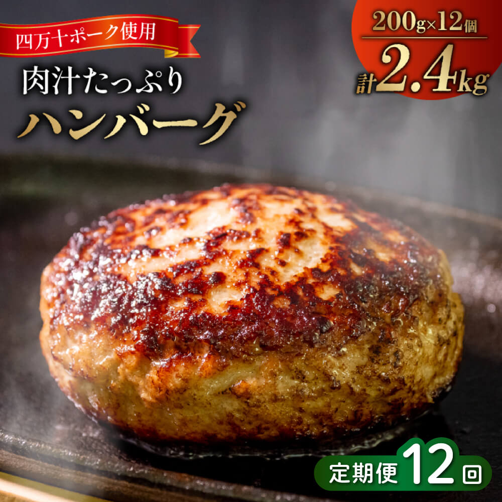 12ヶ月定期便 四万十ポーク入りハンバーグ 2.4kg(200g×12個) 冷凍 真空 小分け 個包装 肉汁たっぷり ハンバーグ 大容量 ハンバーグ 合挽き ハンバーグ 牛肉 ハンバーグ 豚肉 ハンバ