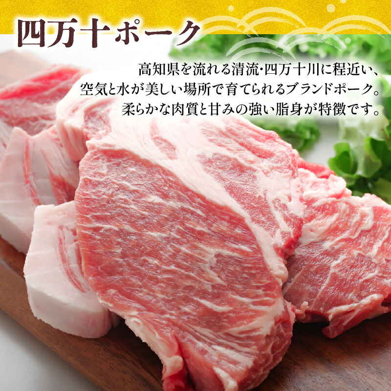 12ヶ月定期便 四万十ポーク入りハンバーグ 2.4kg(200g×12個) 冷凍 真空 小分け 個包装 肉汁たっぷり ハンバーグ 大容量 ハンバーグ 合挽き ハンバーグ 牛肉 ハンバーグ 豚肉 ハンバ