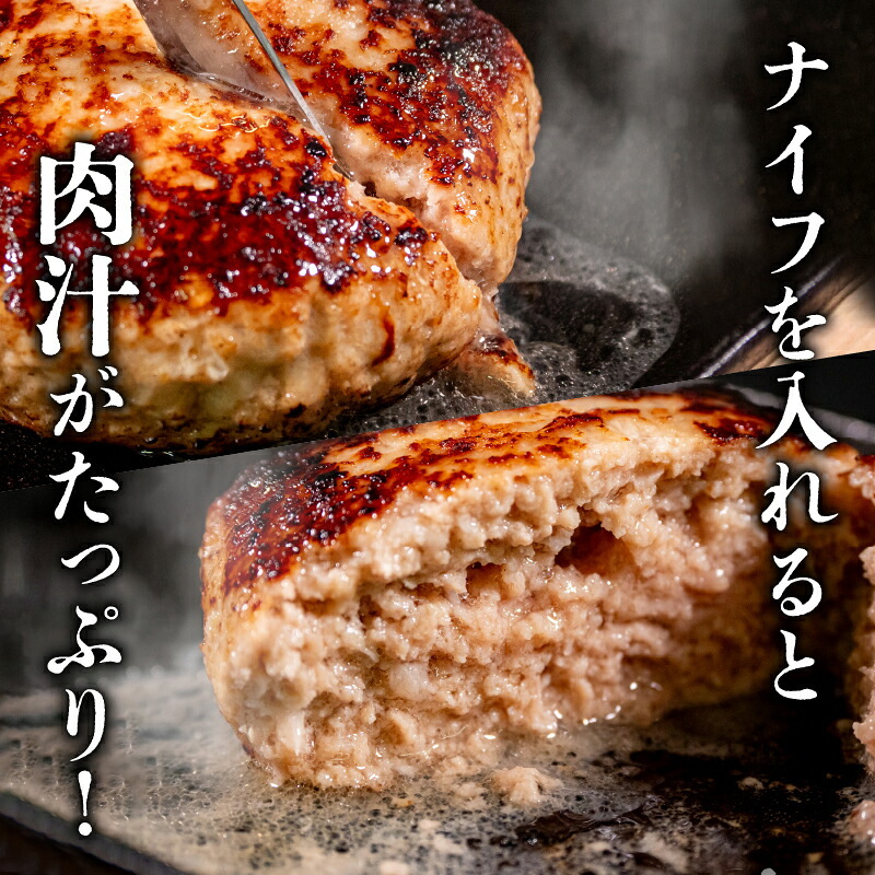 12ヶ月定期便 四万十ポーク入りハンバーグ 2.4kg(200g×12個) 冷凍 真空 小分け 個包装 肉汁たっぷり ハンバーグ 大容量 ハンバーグ 合挽き ハンバーグ 牛肉 ハンバーグ 豚肉 ハンバ