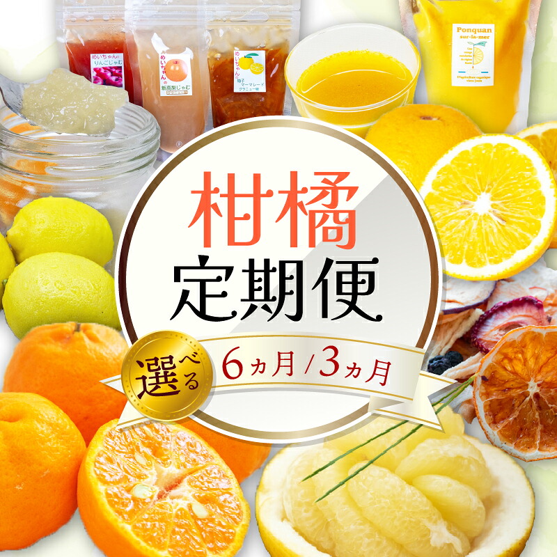 全 3回 3ヶ月  果物 定期便 ぽんかん 土佐 文旦 無農薬 防腐剤 不使用 高知県 須崎市 柑橘 蜜柑 みかん mikan mikan 柑橘定期便 柑橘類 詰合せ 詰め合わせ 訳あり