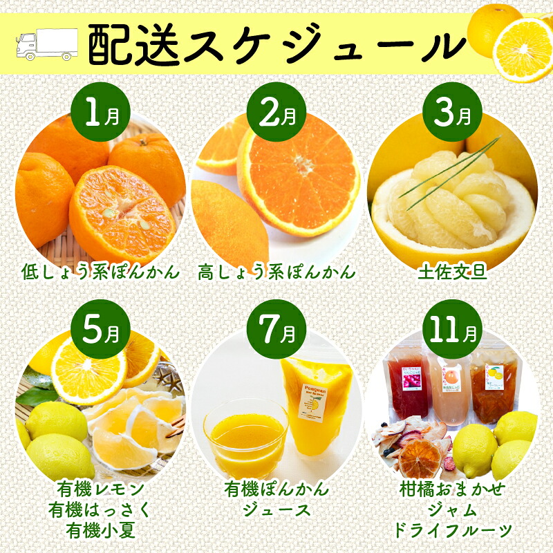 定期便 6回 6ヶ月 果物 定期便 ぽんかん 土佐 文旦 訳あり 無農薬 防腐剤 不使用 高知県 須崎市 柑橘 蜜柑 みかん mikan mikan 柑橘定期便 柑橘類 詰合せ 詰め合わせ