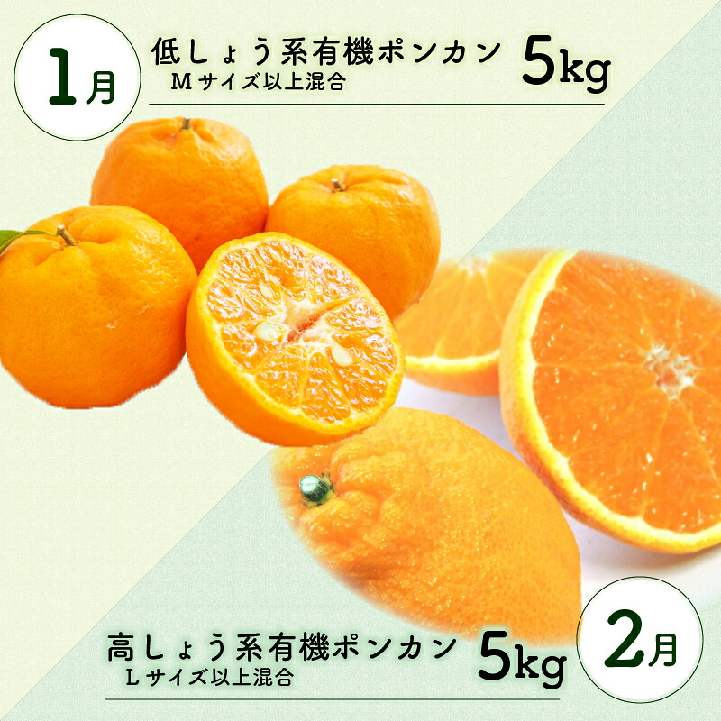 定期便 6回 6ヶ月 果物 定期便 ぽんかん 土佐 文旦 訳あり 無農薬 防腐剤 不使用 高知県 須崎市 柑橘 蜜柑 みかん mikan mikan 柑橘定期便 柑橘類 詰合せ 詰め合わせ