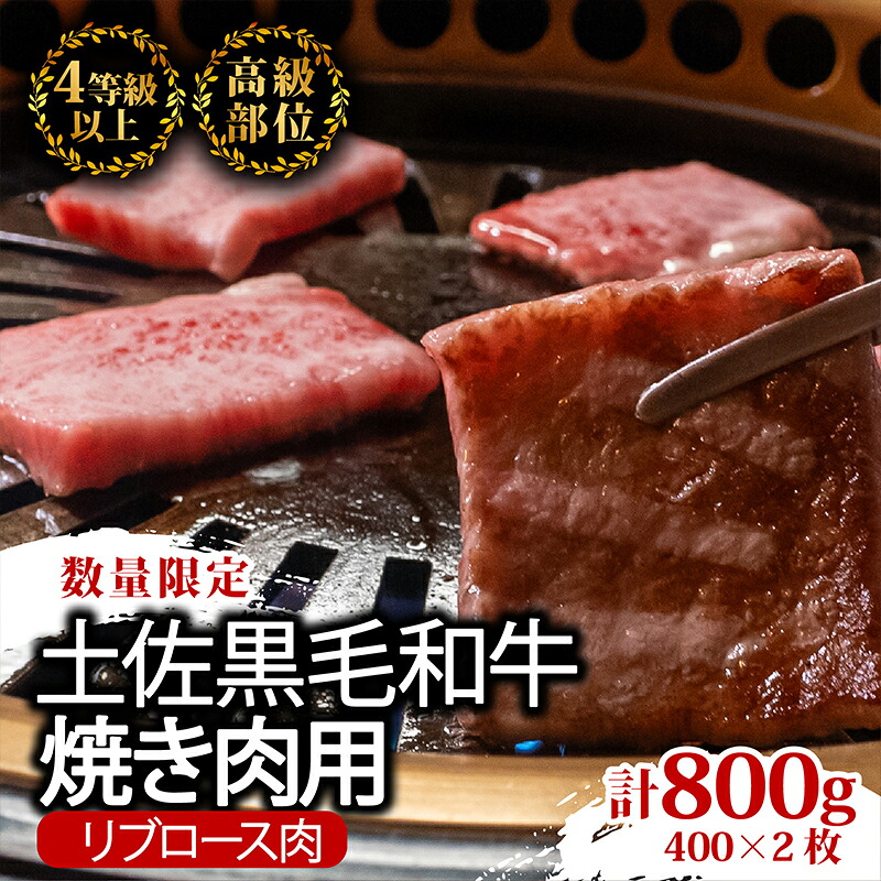 【2回定期便】土佐黒毛和牛 食べ比べ 1460g (計1.4kg以上) | Kコース 厳選 国産 和牛 焼き肉 ステーキ お肉 にく 霜降り 牛肉 リブロース サーロイン 人気 贈答 ギフト プレゼン