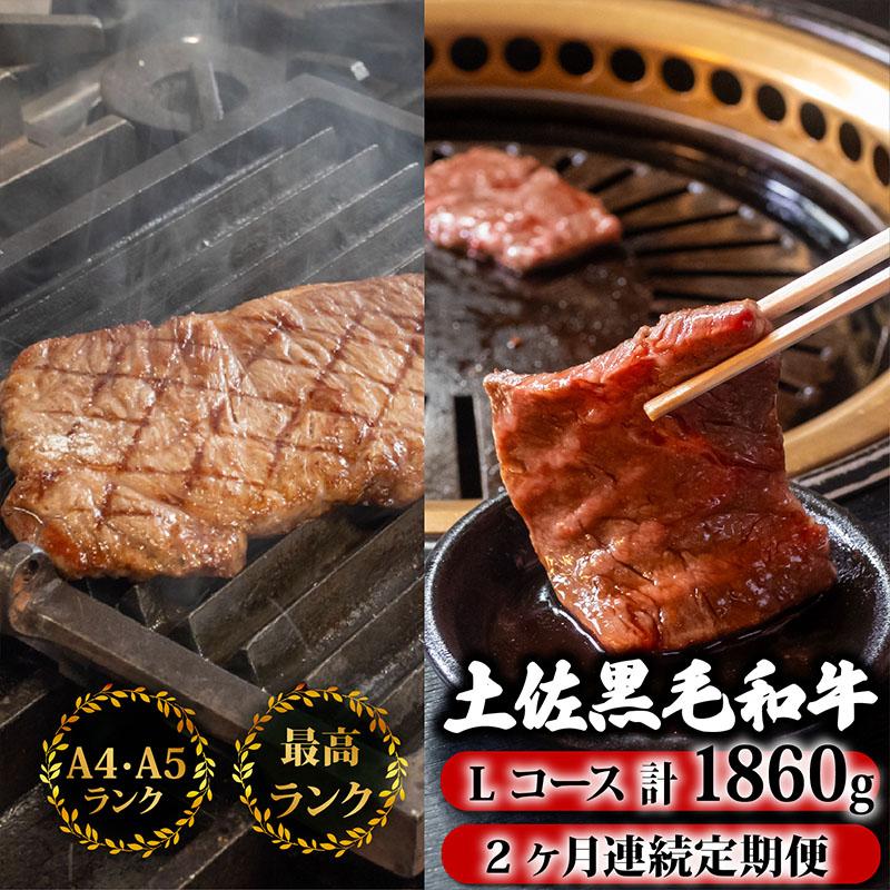 【2回定期便】土佐黒毛和牛 食べ比べ 1860g (計1.8kg以上) | Lコース 厳選 国産 和牛 焼き肉 ステーキ お肉 にく 霜降り 牛肉 モモ肉 もも肉 サーロイン 人気 贈答 ギフト