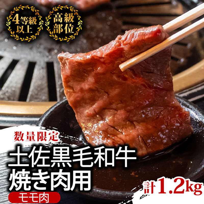 【2回定期便】土佐黒毛和牛 食べ比べ 1860g (計1.8kg以上) | Lコース 厳選 国産 和牛 焼き肉 ステーキ お肉 にく 霜降り 牛肉 モモ肉 もも肉 サーロイン 人気 贈答 ギフト