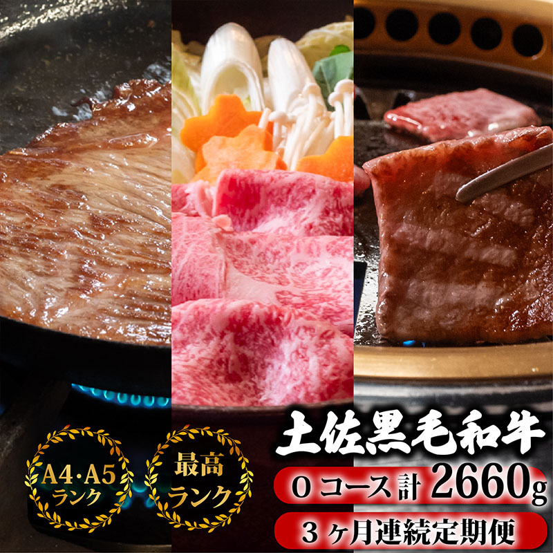 牛肉 焼肉 バーベキュー 3回定期便 土佐黒毛和牛
