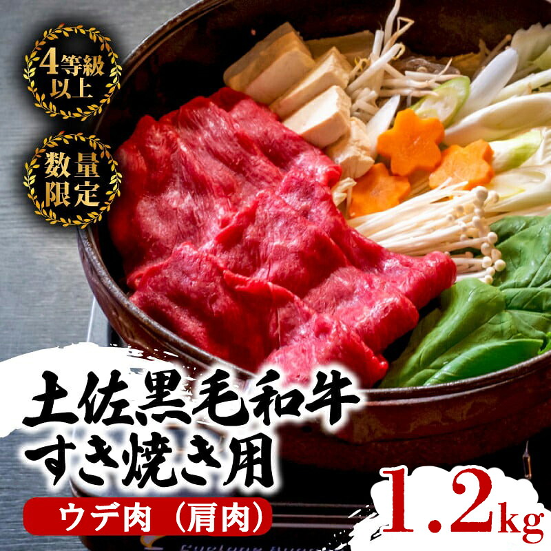 【6回定期便】土佐黒毛和牛 食べ比べ 6060g (計6kg以上) | Qコース 厳選 国産 和牛 すき焼き しゃぶしゃぶ ステーキ 焼き肉 お肉 にく 霜降り 牛肉 ウデ肉 うで肉 モモ肉 もも肉