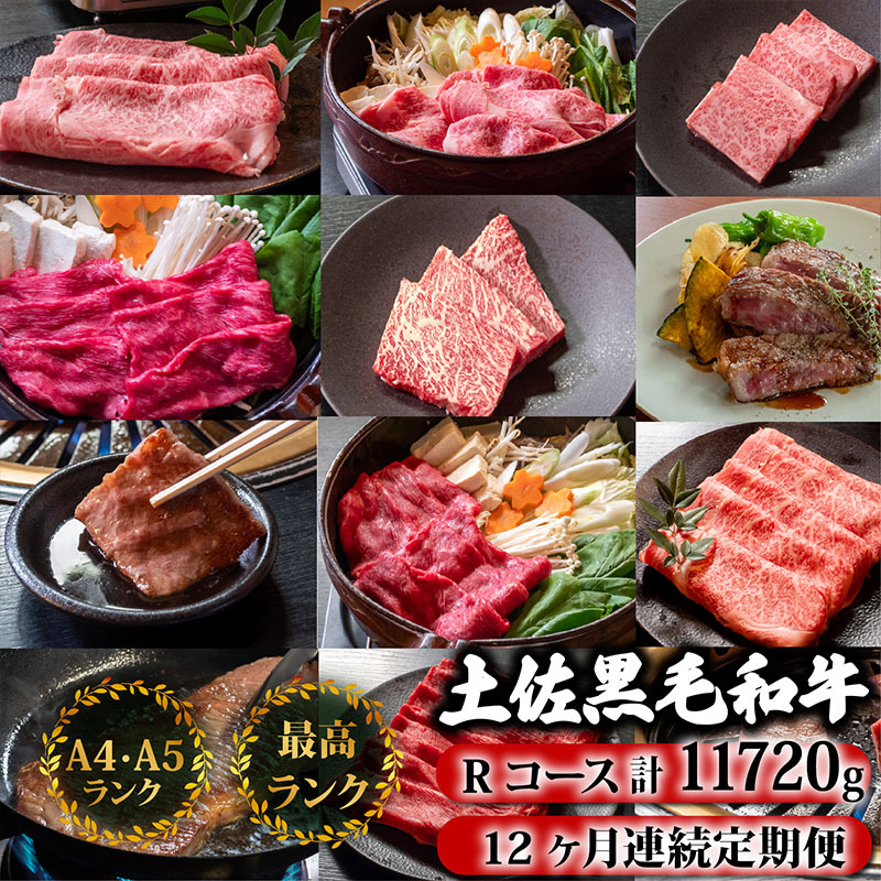【12回定期便】土佐黒毛和牛 食べ比べ 11720g (計11kg以上) | Rコース 厳選 国産 和牛 すき焼き しゃぶしゃぶ ステーキ 焼き肉 お肉 にく 霜降り 牛肉 ウデ肉 うで肉 モモ肉