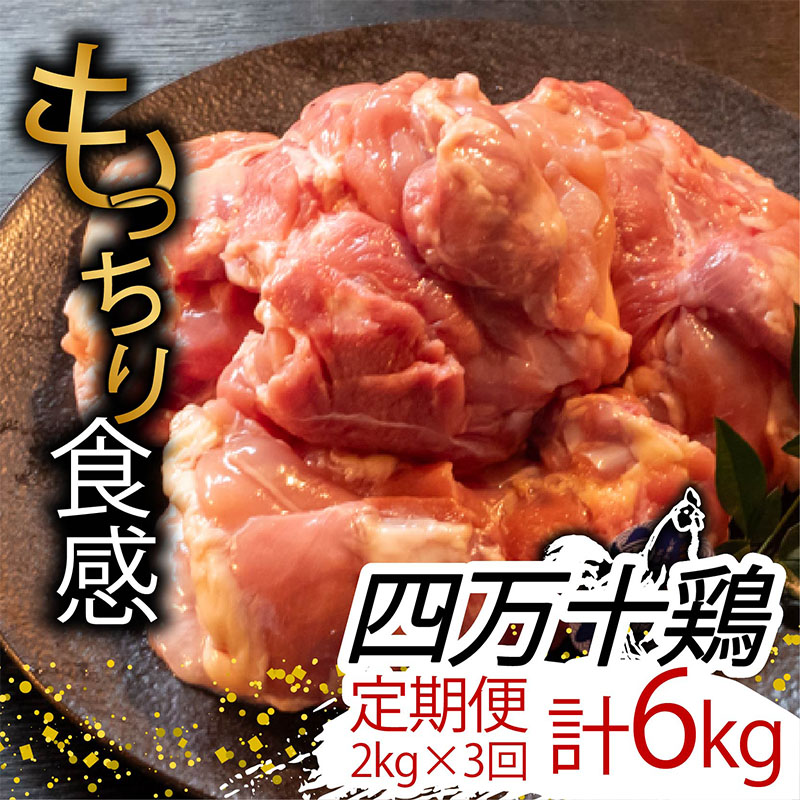 【定期便3回】銘柄鶏 四万十鶏 もも肉 計6kg(2kg×3ヶ月連続お届け) Sコース | 切身 カット 時短 小分け カット済み 鳥肉 とりにく 鶏もも 冷蔵 国産 ブランド 唐揚げ 煮物 鍋