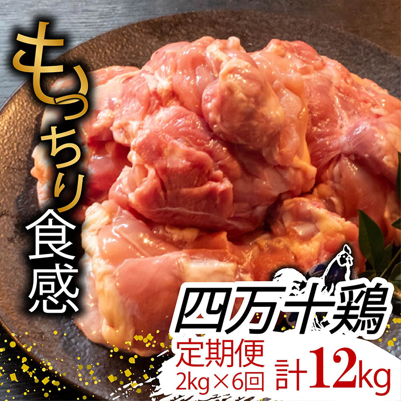 【定期便6回】銘柄鶏 四万十鶏 もも肉 計12kg(2kg×6ヶ月連続お届け) Tコース | 切身 カット 時短 小分け カット済み 鳥肉 とりにく 鶏もも 冷蔵 国産 ブランド 唐揚げ 煮物 鍋