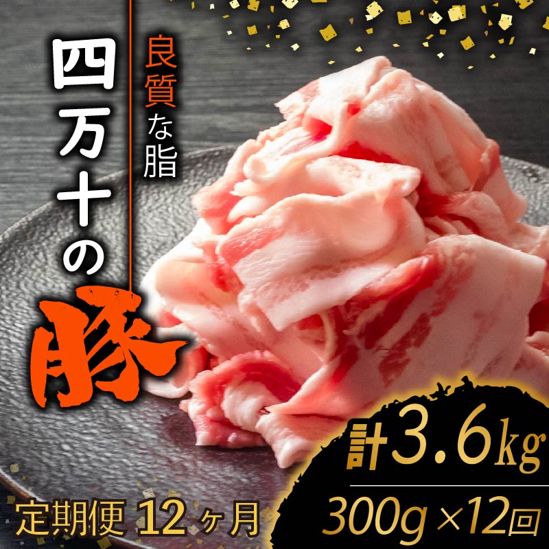 【定期便12回】四万十ポークスライス 計3.6kg(300g×12ヶ月連続お届け) Xコース | 豚肉 豚バラ肉 小分け 小間切れ スライス 切り落とし 冷凍 真空パック 簡単調理 細切れ 大容量 肉