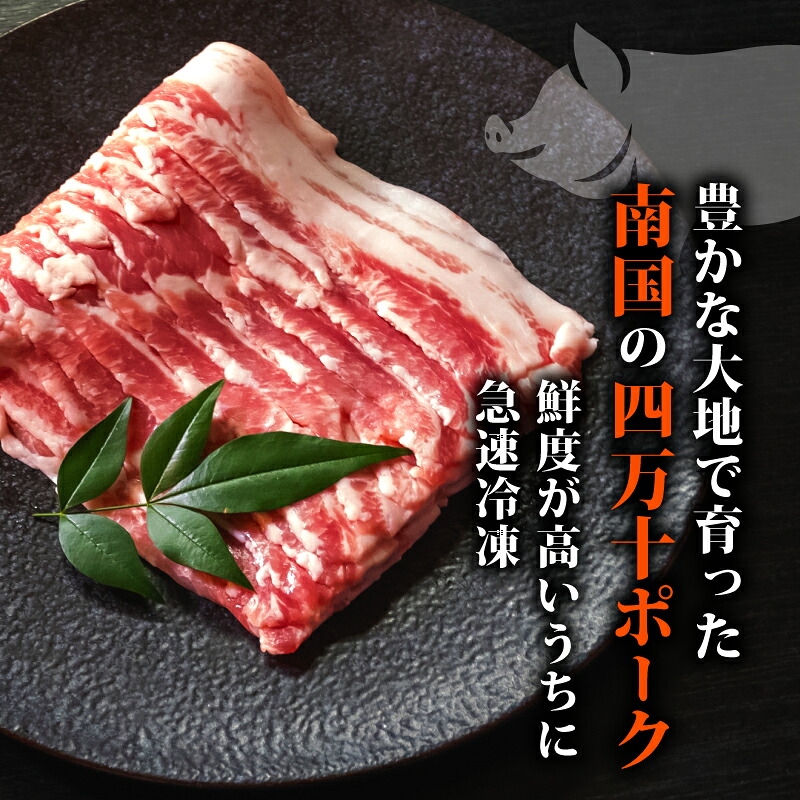 【定期便3回】四万十ポークスライス 計1.8kg(600g×3ヶ月連続お届け) Yコース | 豚肉 豚バラ肉 小分け 小間切れ スライス 切り落とし 冷凍 真空パック 簡単調理 細切れ 大容量 肉