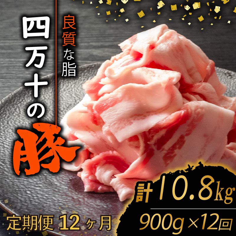 【定期便12回】四万十ポークスライス 計10.8kg（900g×12ヶ月連続お届け) 2Dコース | 豚肉 豚バラ肉 小分け 小間切れ スライス 切り落とし 冷凍 真空パック 簡単調理 細切れ 大容量