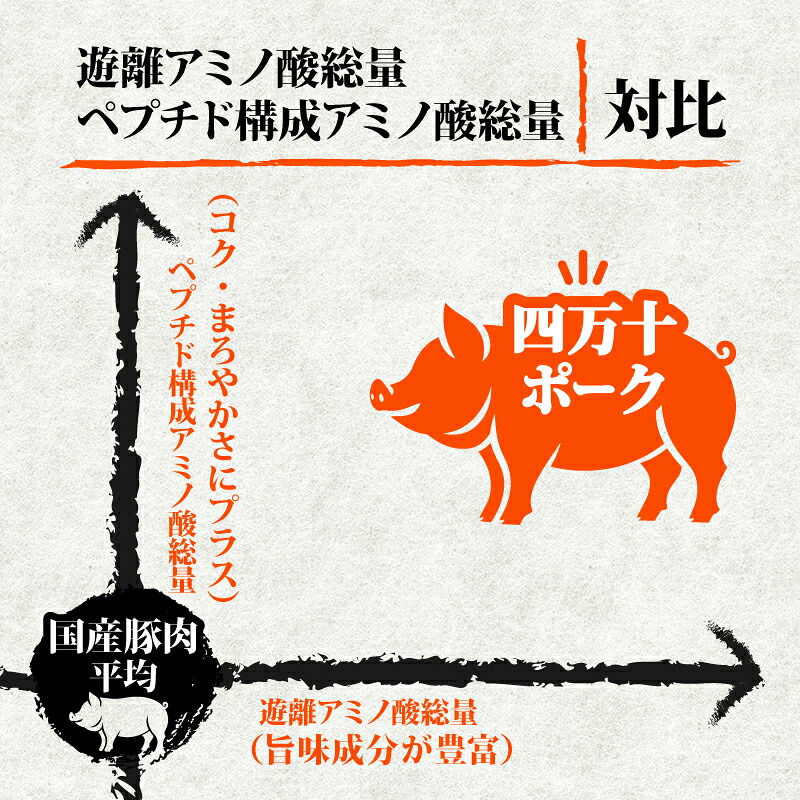 【定期便3回】四万十ポークスライス 計4.5kg(1.5kg×3ヶ月連続お届け) 2Hコース | 豚肉 豚バラ肉 小分け 小間切れ スライス 切り落とし 冷凍 真空パック 簡単調理 細切れ 大容量 肉