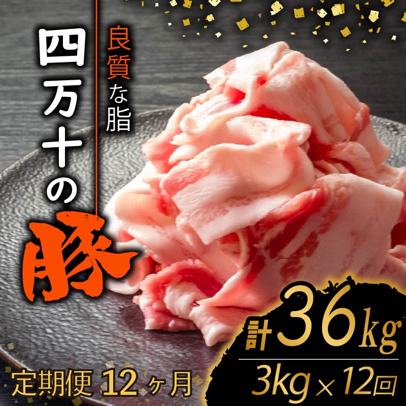 【定期便12回】四万十ポークスライス 計36kg(3kg×12ヶ月連続お届け) 2Pコース | 豚肉 豚バラ肉 小分け 小間切れ スライス 切り落とし 冷凍 真空パック 簡単調理 細切れ 大容量 肉