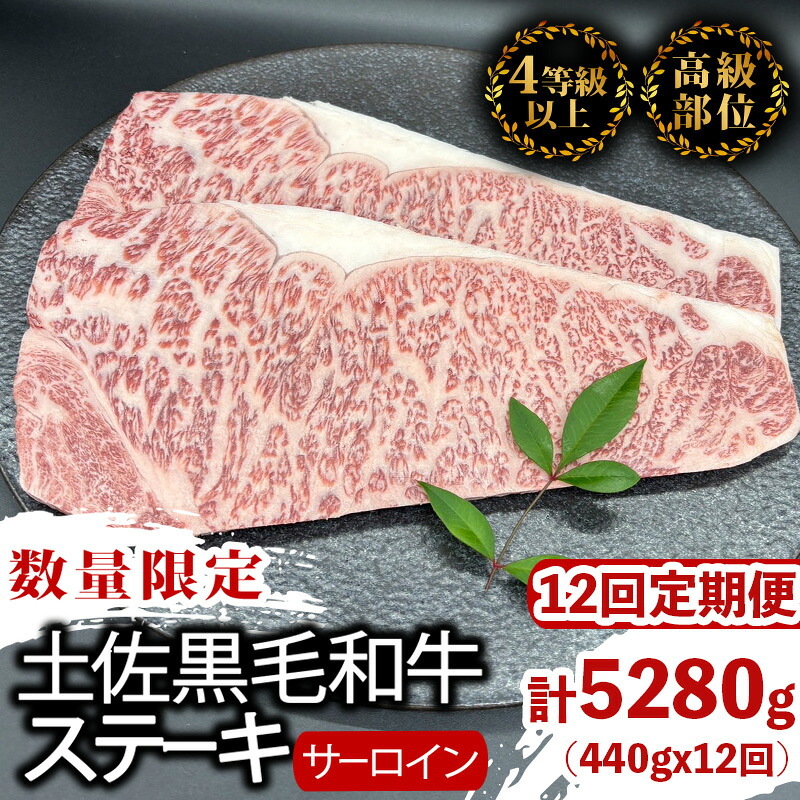 【定期便12回】土佐黒毛和牛サーロインステーキ 計5.28kg(440g×12ヶ月連続お届け) 2Tコース | 特撰 サーロイン肉 最上位等級 A4 A5 最高 ランク 贅沢 厚切り ステーキ用 焼肉