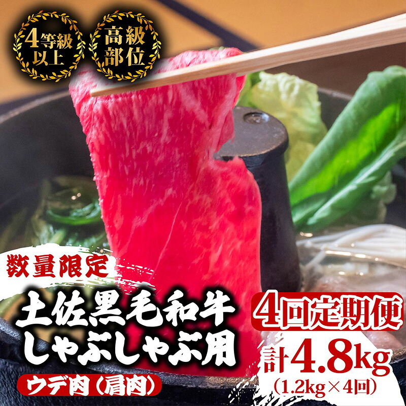 しゃぶしゃぶ 定期便4回 土佐黒毛和牛ウデ肉しゃぶしゃぶ用…