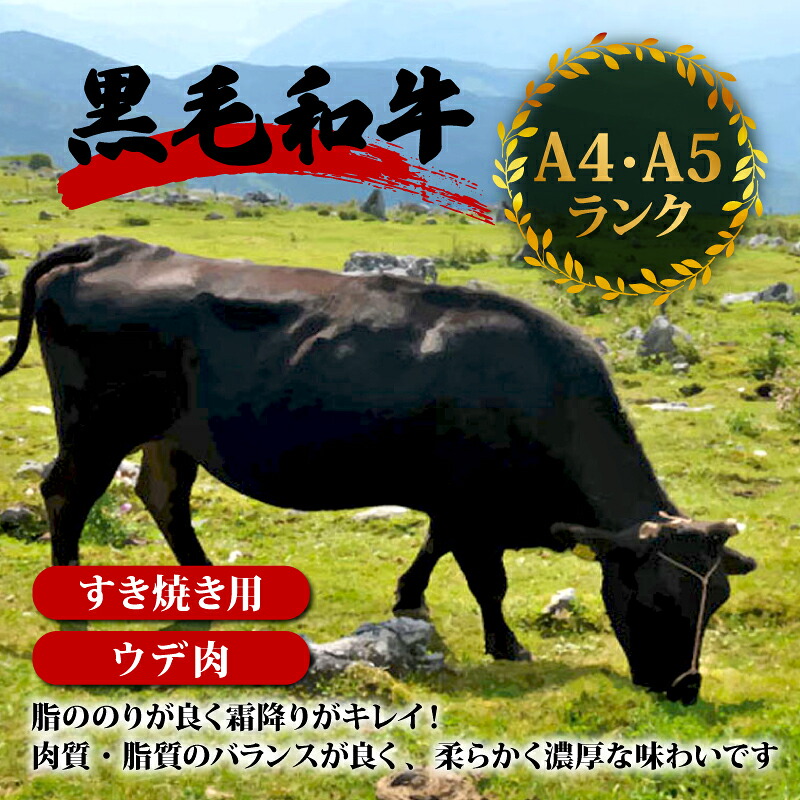 【定期便12回】土佐黒毛和牛ウデ肉すき焼き用 計14.4kg(1.2g×12ヶ月連続お届け) 3Nコース | 特撰 ウデ肉 肩肉 最上位等級 A4 A5 最高ランク 贅沢 すきやき スキヤキ用 鍋