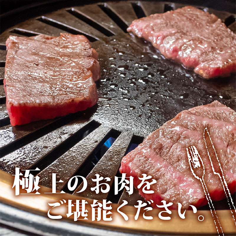 【定期便4回】土佐黒毛和牛モモ肉焼肉用 計4.8kg(1.2kg×4ヶ月連続お届け) 3Tコース | 特撰 モモ肉 最上位等級 A4 A5 最高ランク 贅沢 焼き肉 やきにく 小分け 冷凍 国産