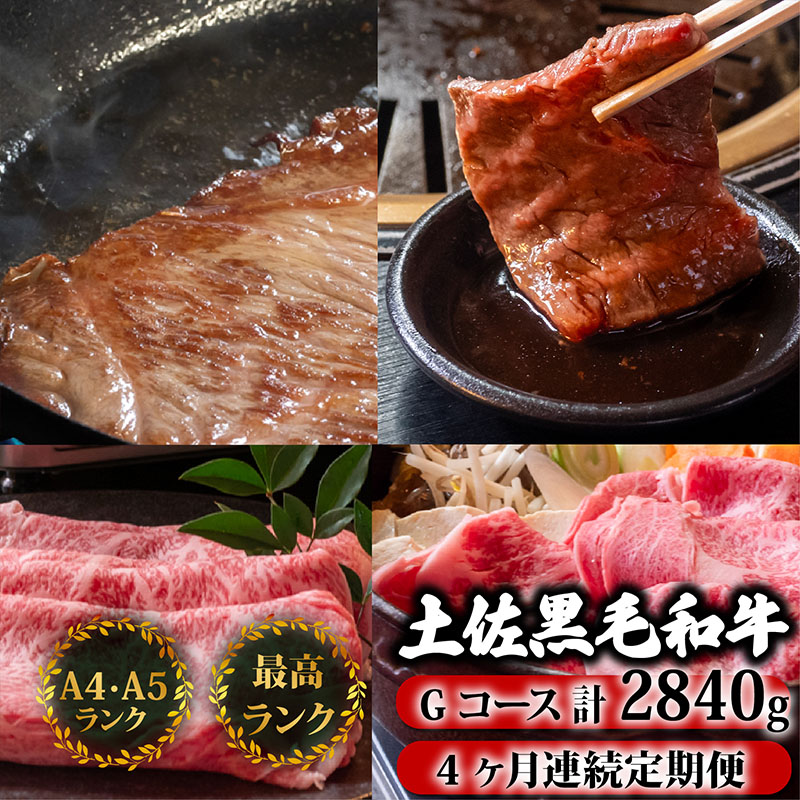 牛肉 セット 4回定期便 土佐黒毛和牛 食べ比べ 2840g
