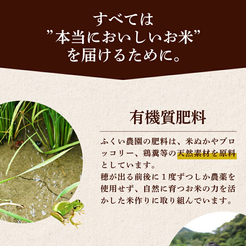 【令和7年産米】ふくい農園のおいしいお米 コシヒカリ 10kg 順次発送