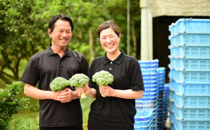野菜 ブロッコリー 8個 やさい 国産 とれたて 甘い 濃い やわかい 新鮮 農家 産地 直送 管理 水田 栽培  おかず 弁当 サラダ 料理 旬 季節野菜 産地直送 鮮度抜群 サラダ スープ 味噌汁