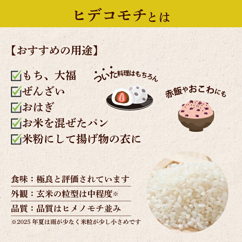 【 令和7年産米 】 もち米 10kg 順次発送