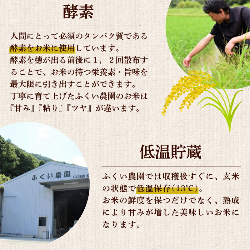 【 令和7年産米 】 もち米 10kg 順次発送