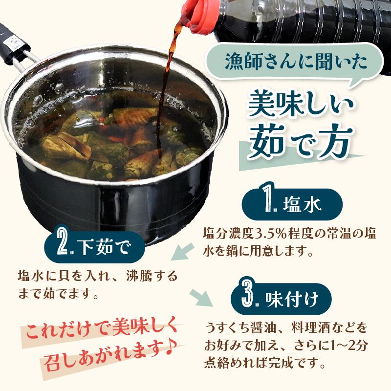 チャンバラ貝　約1kg